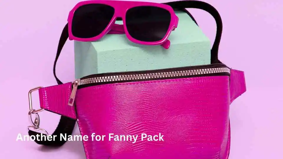 Another Name for Fanny Pack