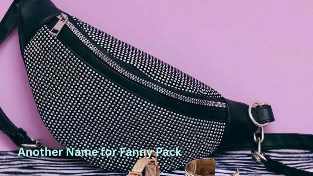 Another Name for Fanny Pack