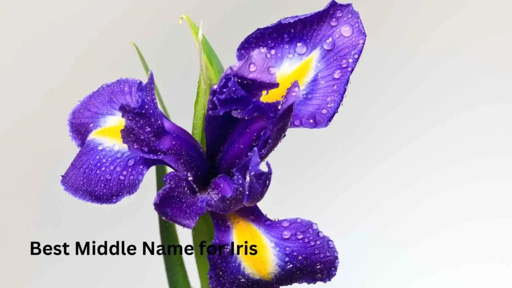 Best Middle Name for Iris