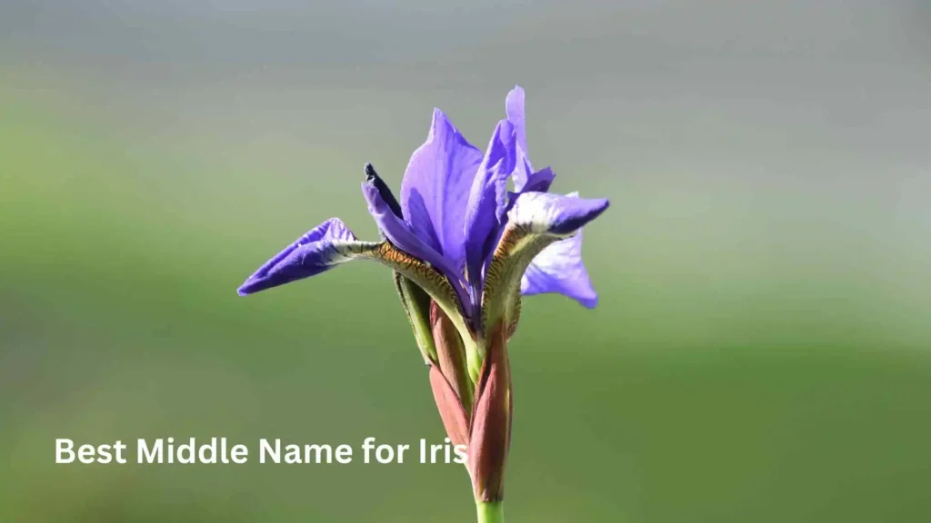 Best Middle Name for Iris