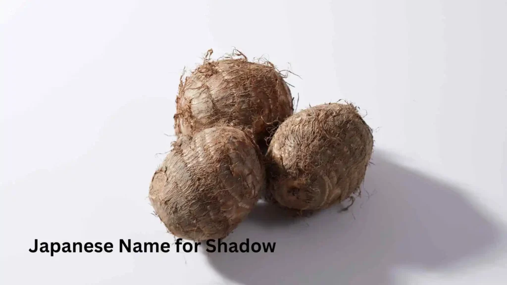 Japanese Name for Shadow