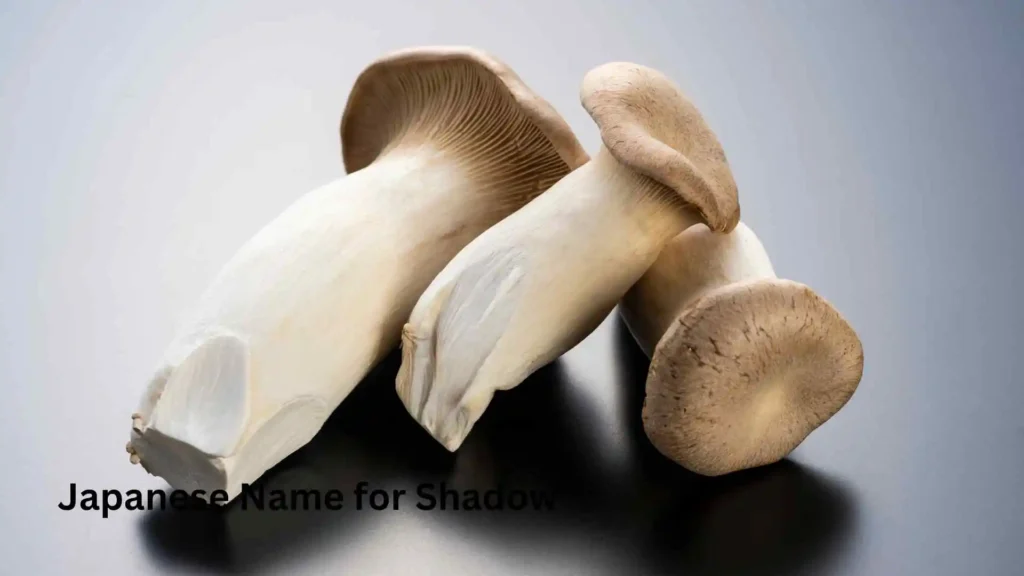 Japanese Name for Shadow