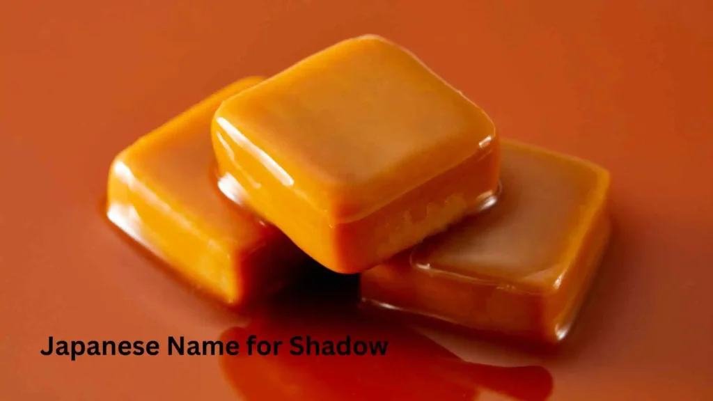 Japanese Name for Shadow