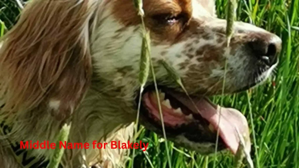  Middle Name for Blakely 