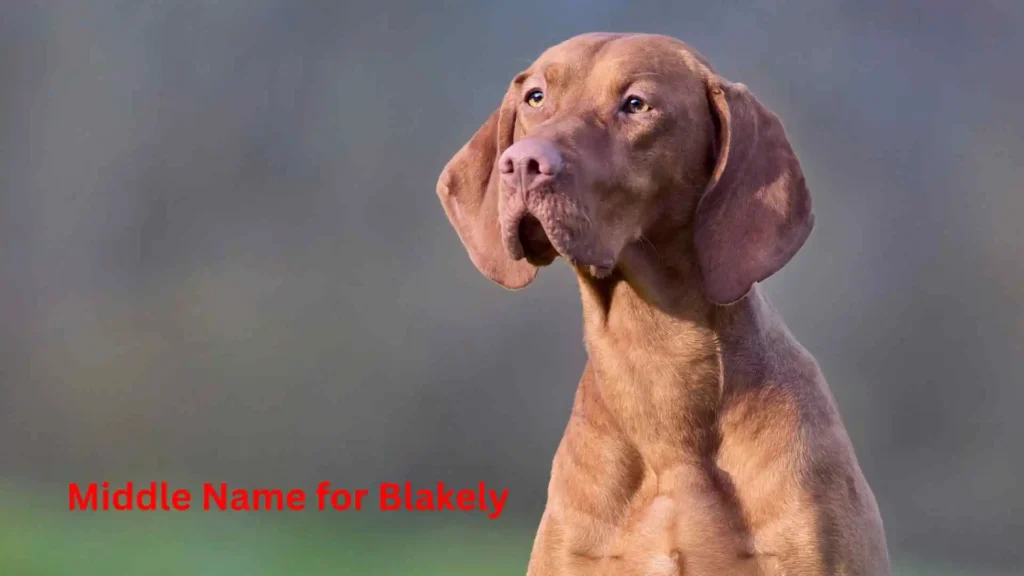  Middle Name for Blakely 