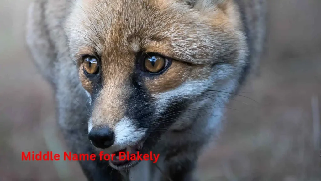  Middle Name for Blakely 