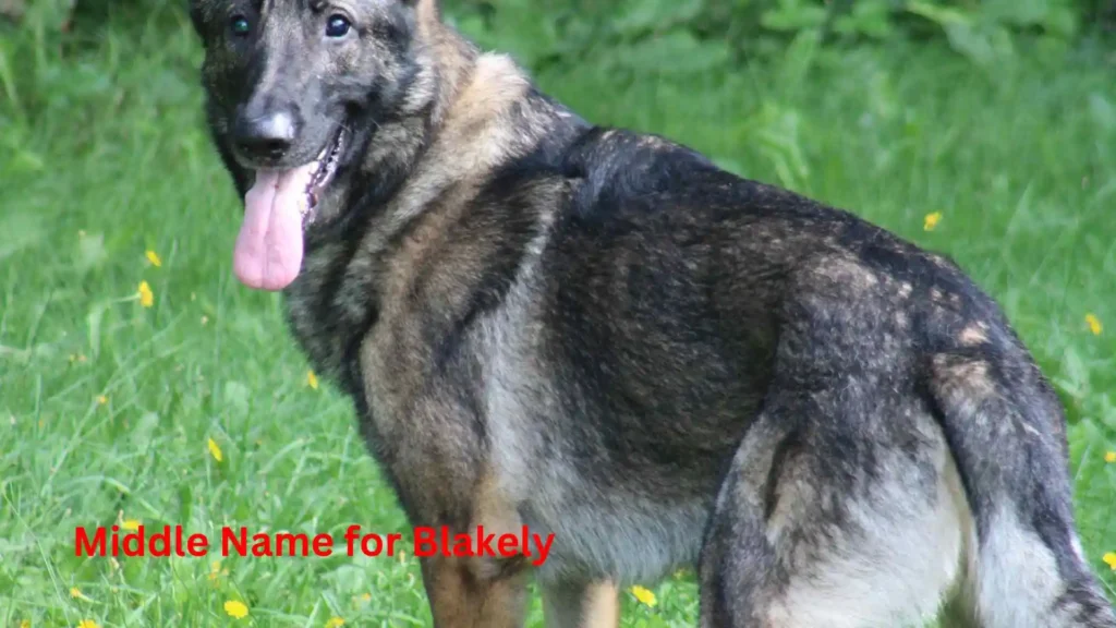  Middle Name for Blakely 