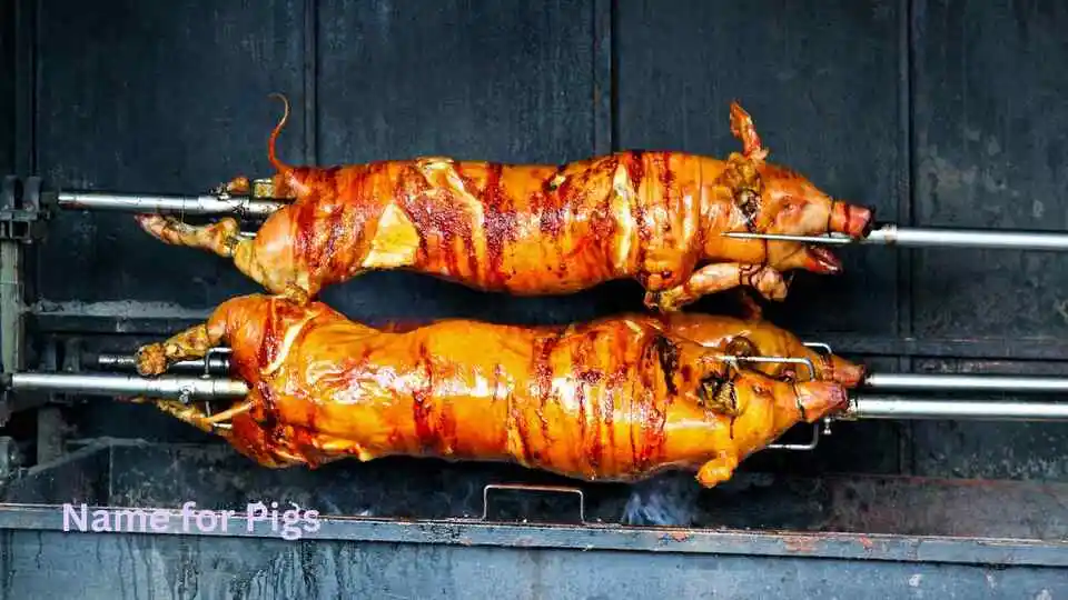 Name for Pigs