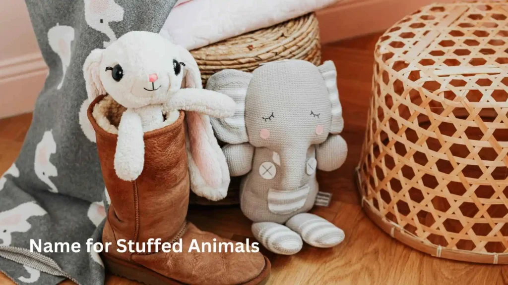 Name for Stuffed Animals