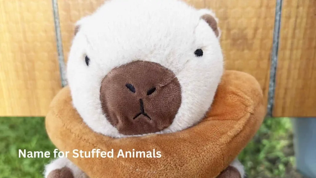 Name for Stuffed Animals