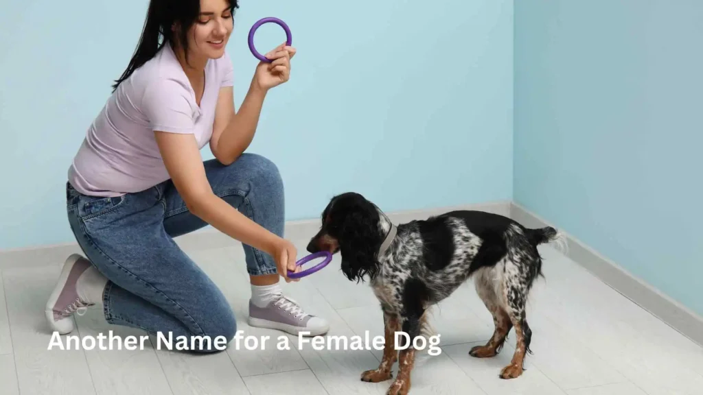 Another Name for a Female Dog