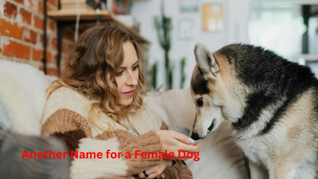 Another Name for a Female Dog
