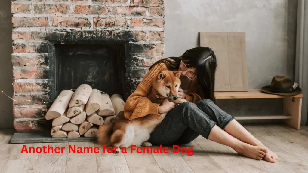 Another Name for a Female Dog