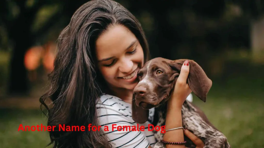 Another Name for a Female Dog