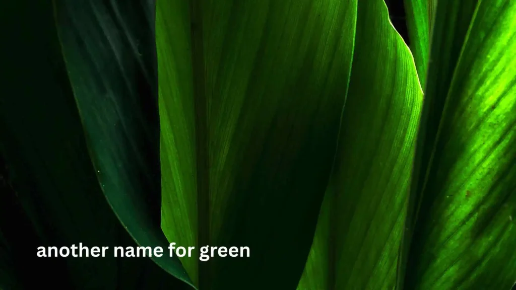 another name for green
