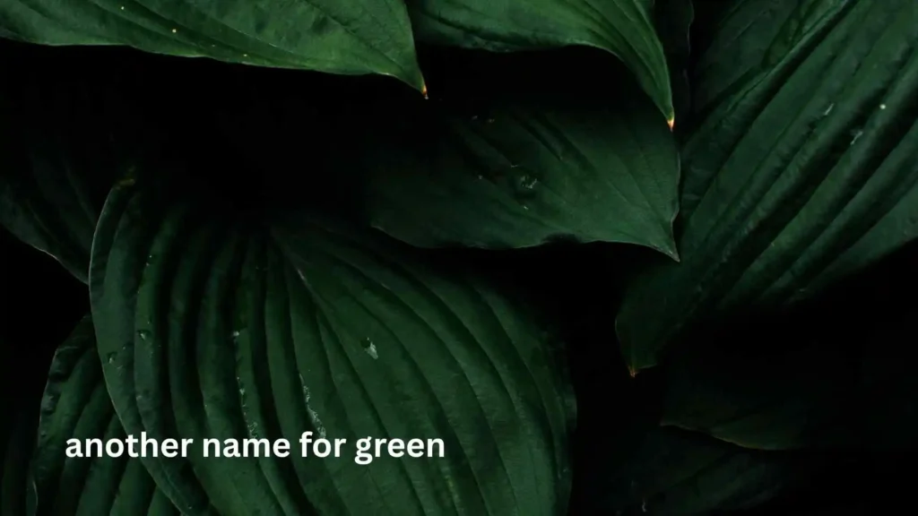 another name for green