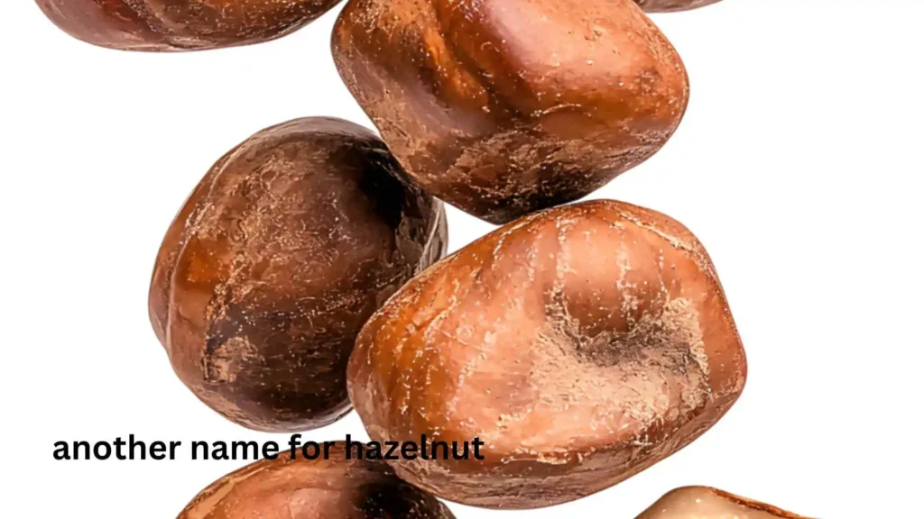 another name for hazelnut