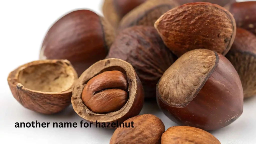 another name for hazelnut