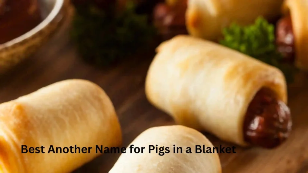 Best Another Name for Pigs in a Blanket 