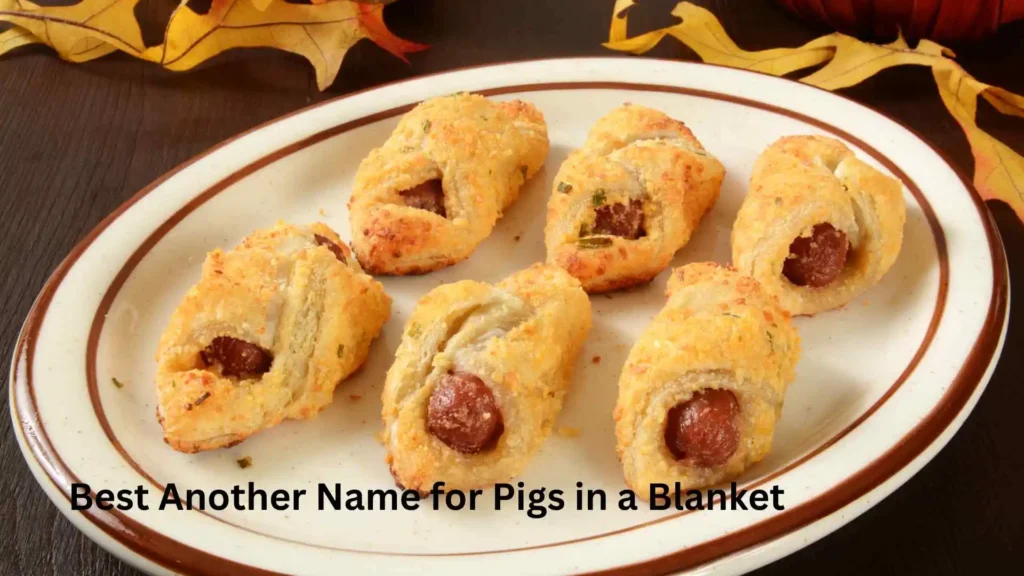Best Another Name for Pigs in a Blanket 
