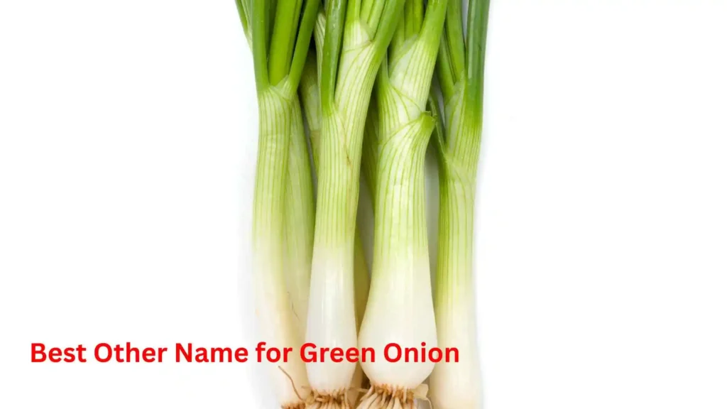 Best Other Name for Green Onion