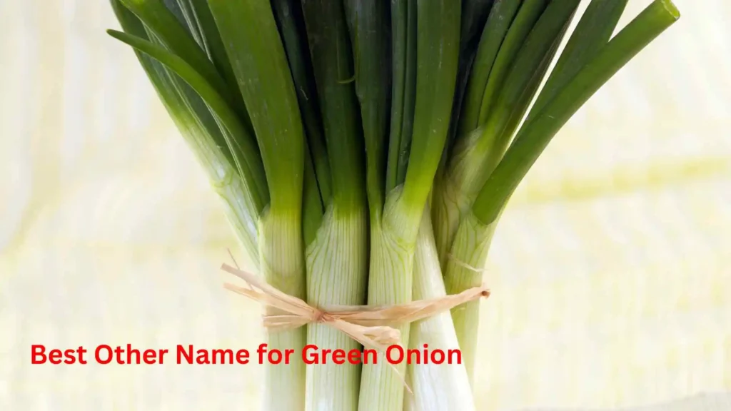 Best Other Name for Green Onion