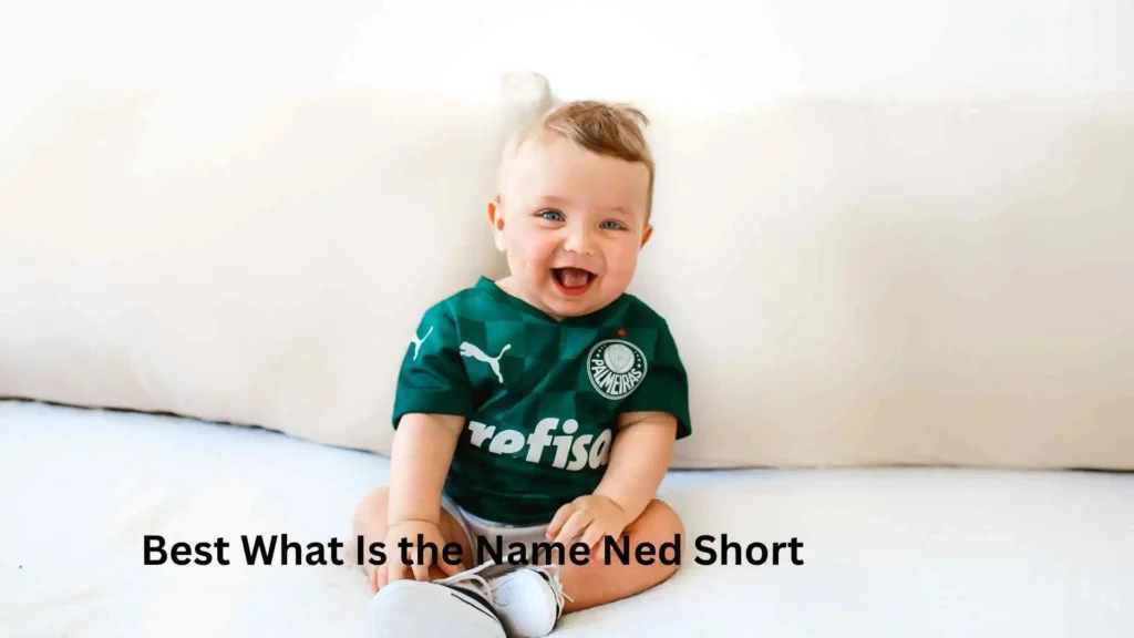 Best What Is the Name Ned Short 