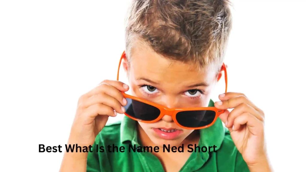 Best What Is the Name Ned Short 