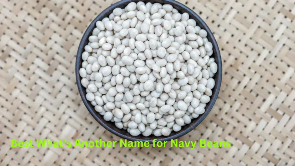 Best What’s Another Name for Navy Beans