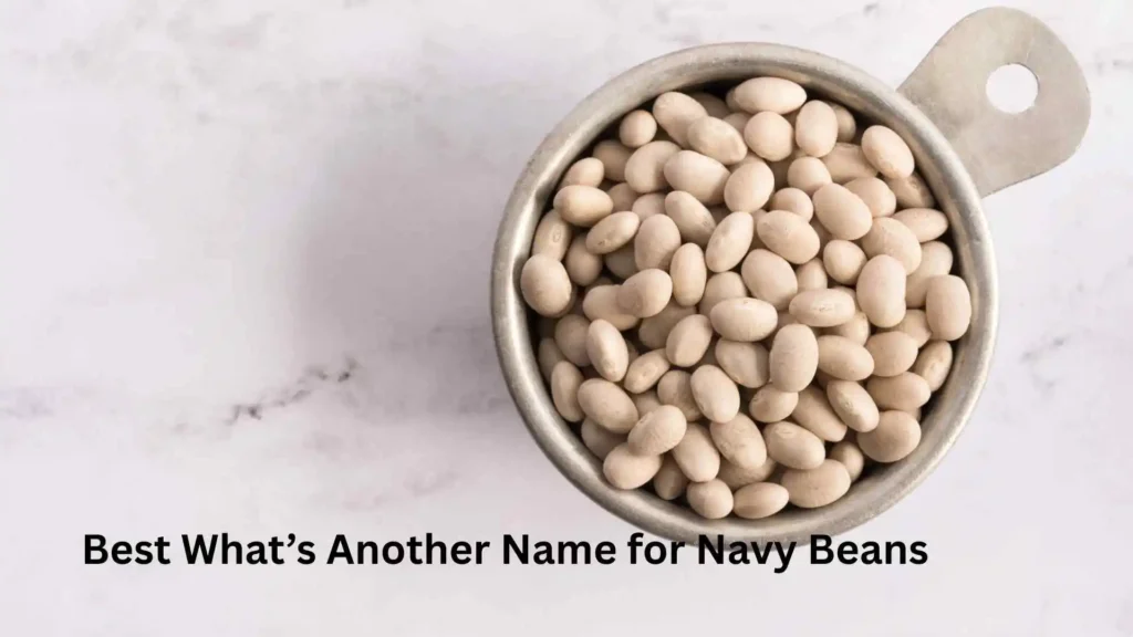 Best What’s Another Name for Navy Beans