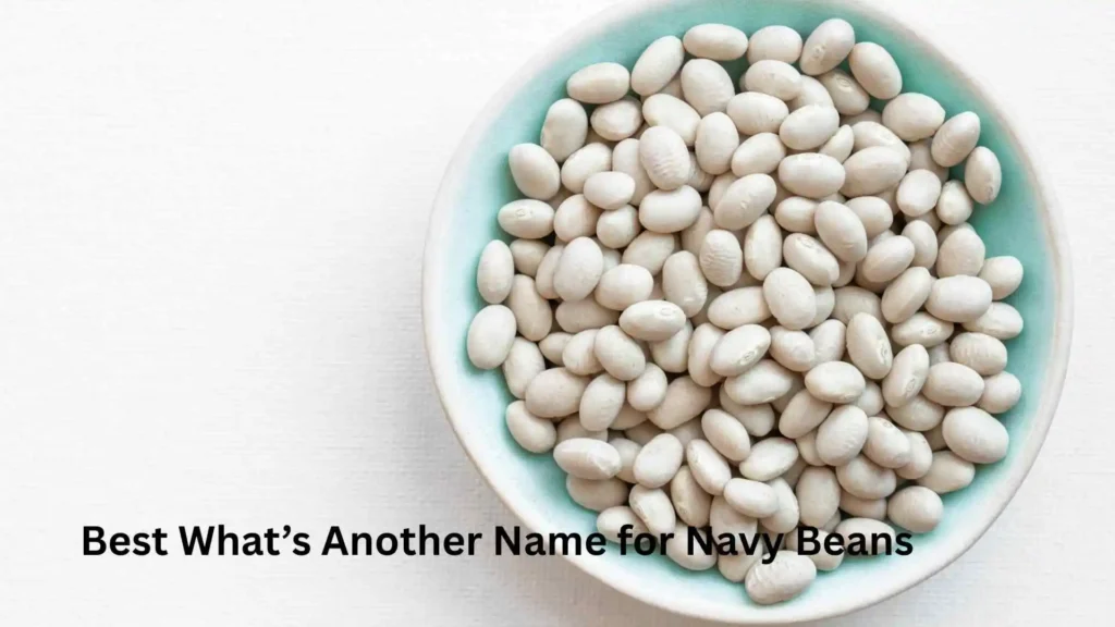 Best What’s Another Name for Navy Beans