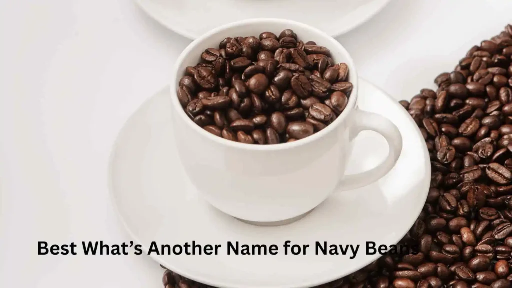 Best What’s Another Name for Navy Beans