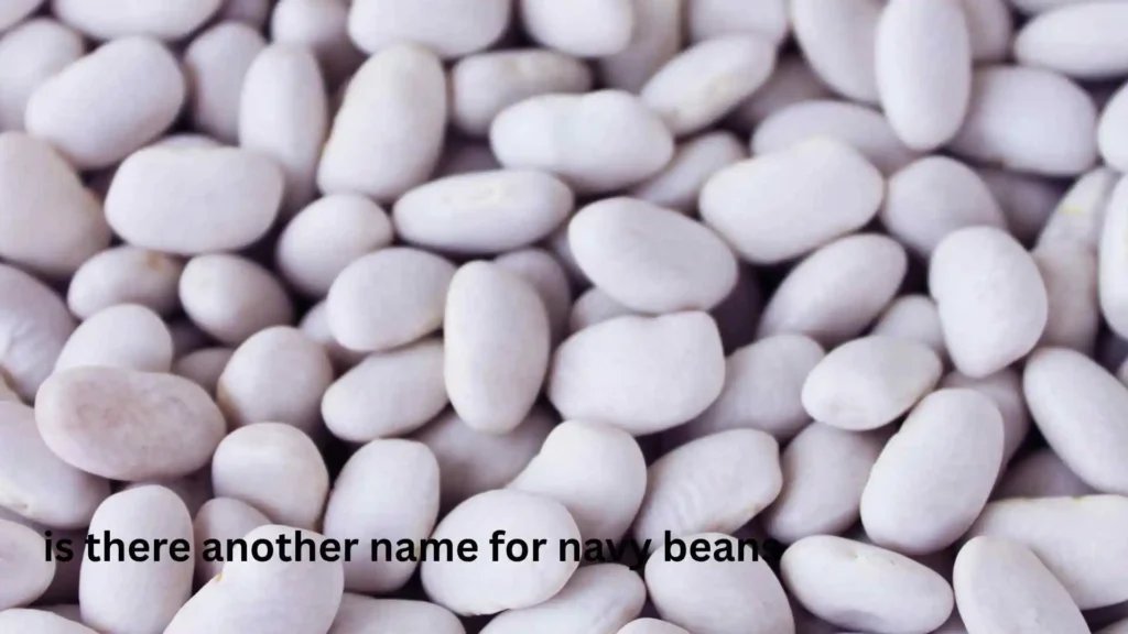 is there another name for navy beans