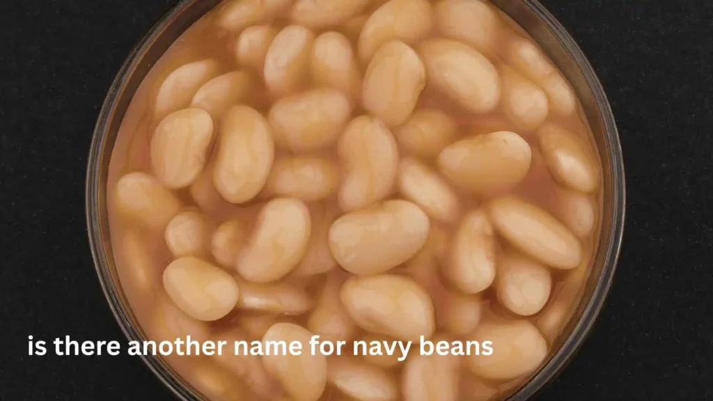 is there another name for navy beans