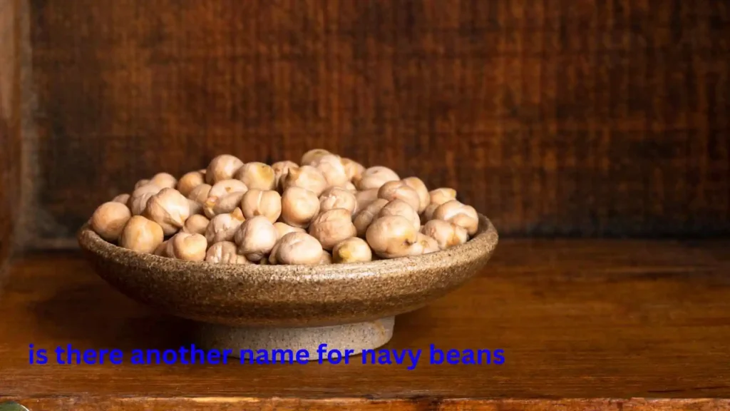 is there another name for navy beans