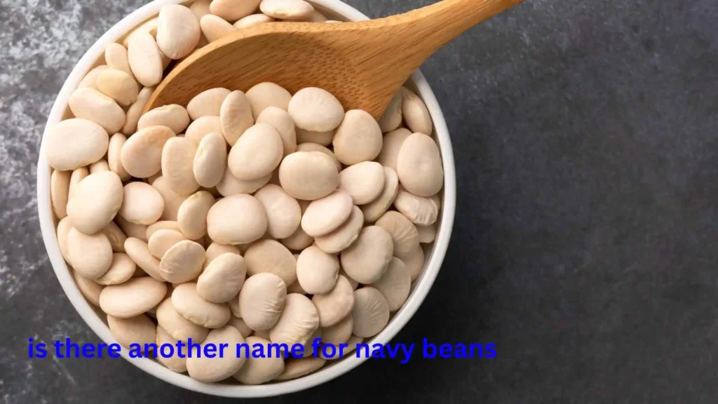 is there another name for navy beans