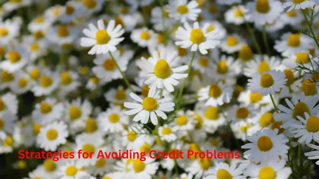 Middle Name for Daisy