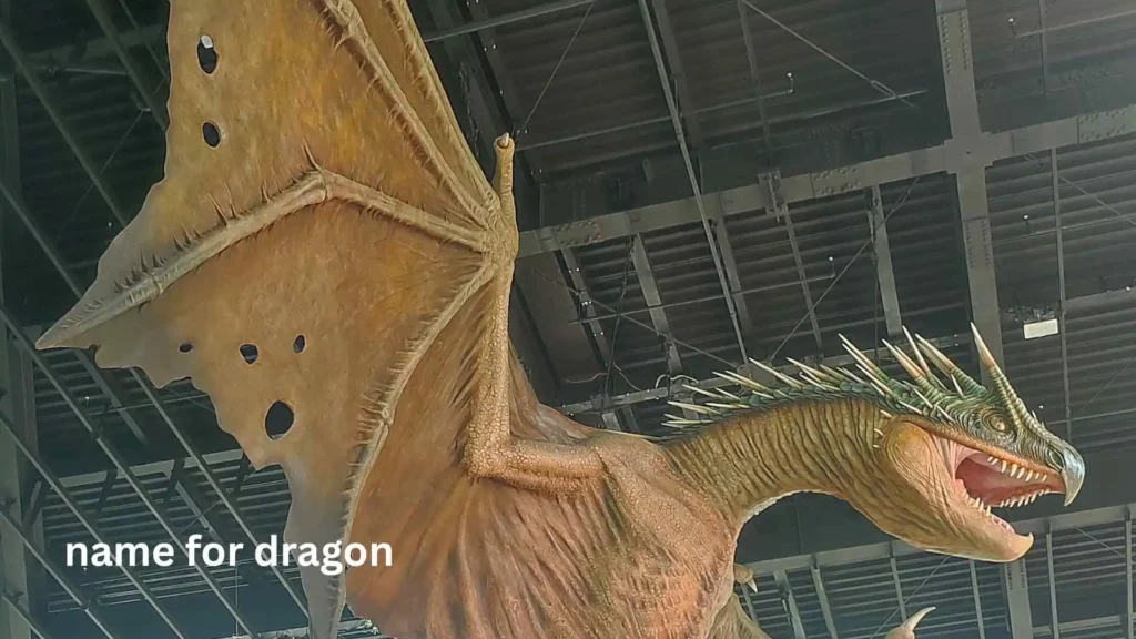 name for dragon