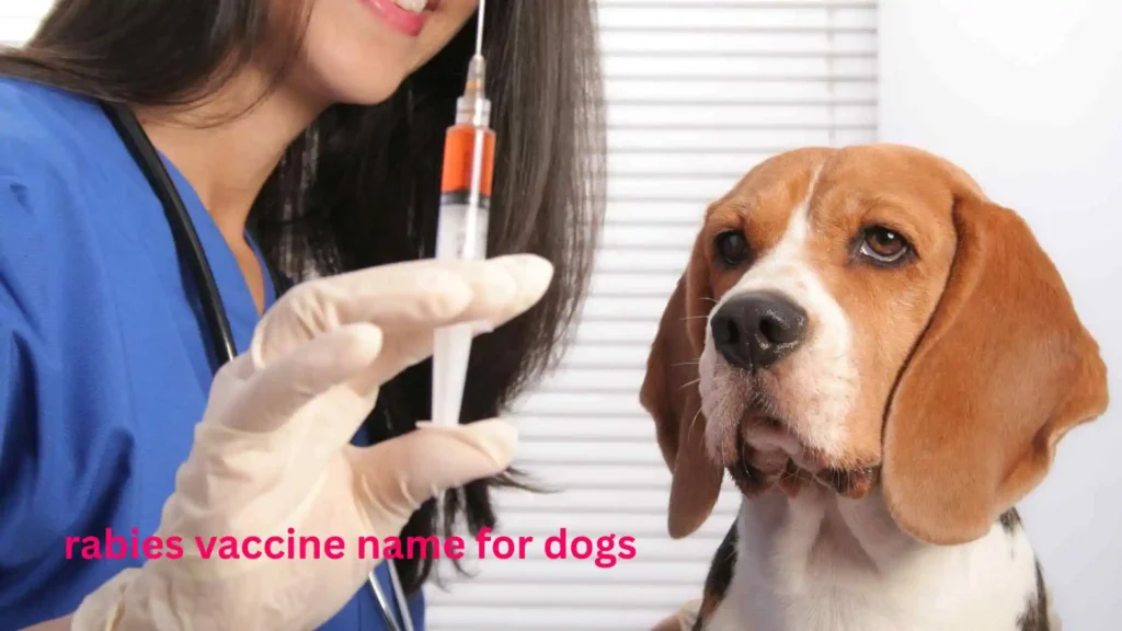 rabies vaccine name for dogs