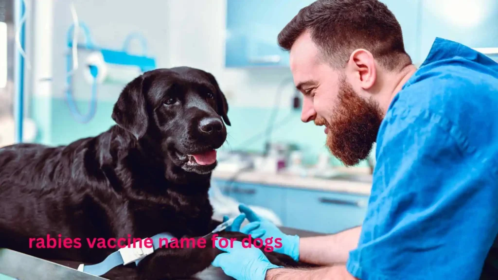 rabies vaccine name for dogs