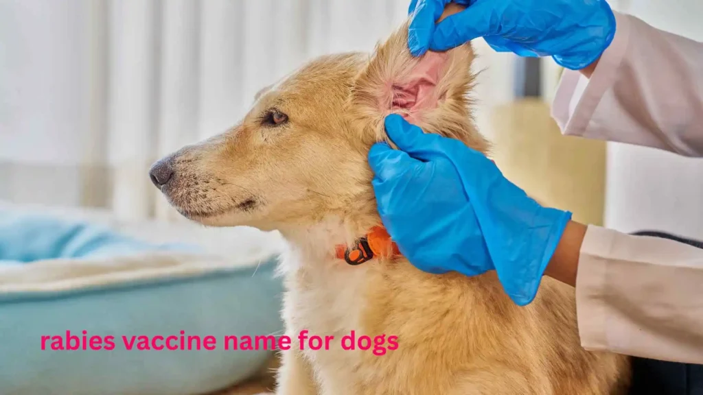 rabies vaccine name for dogs