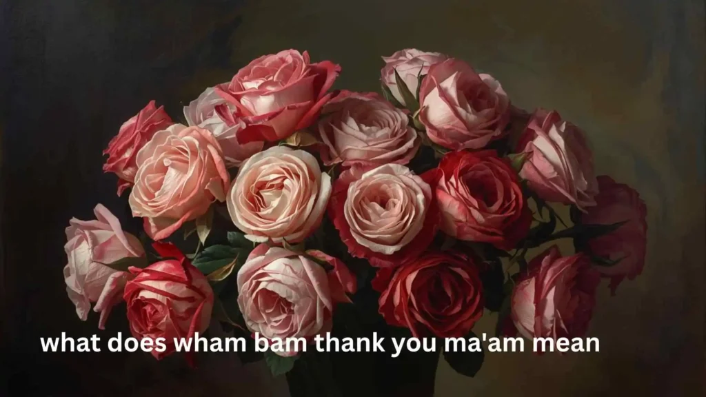 what does wham bam thank you ma'am mean