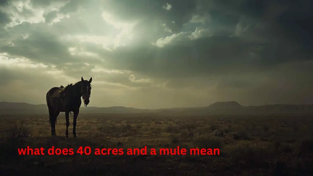what does 40 acres and a mule mean