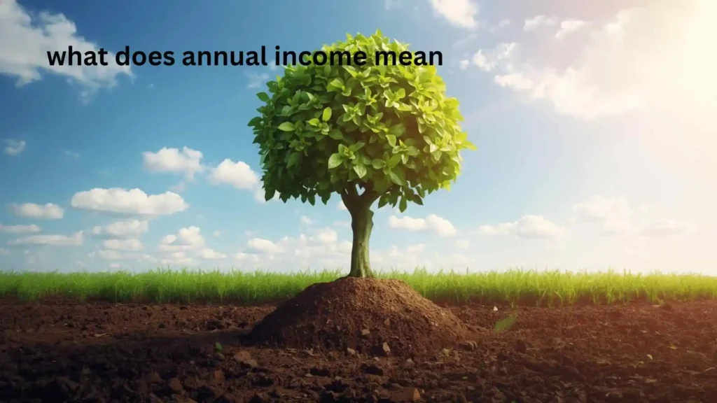 what does annual income mean