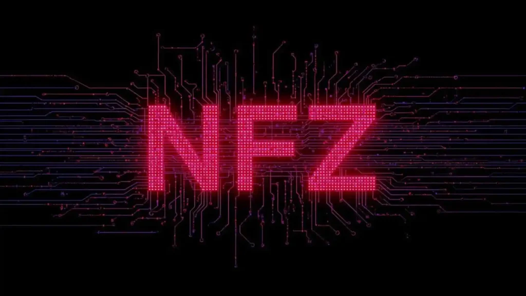 what does nfs mean on wizz