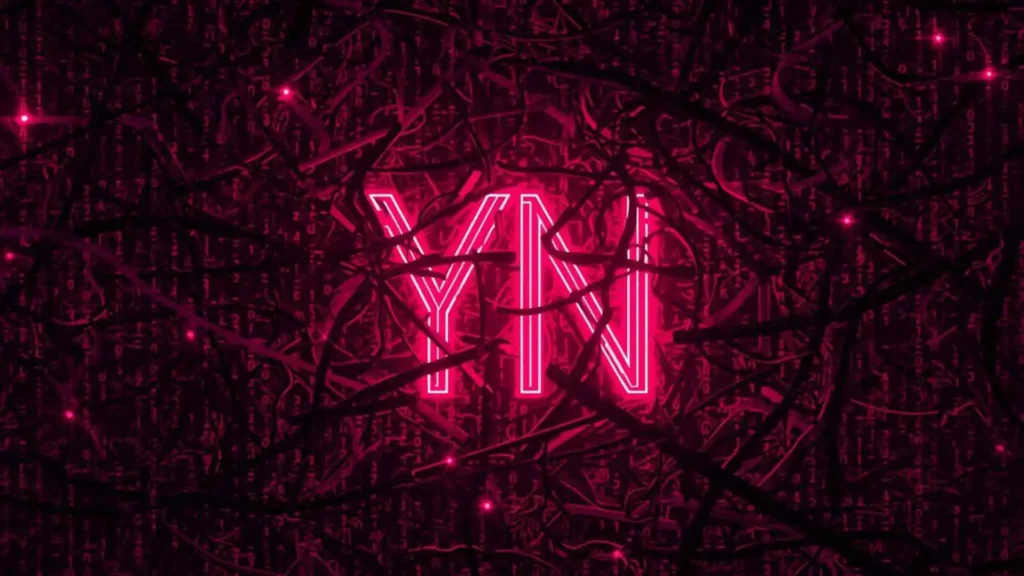 what does yn mean on tiktok