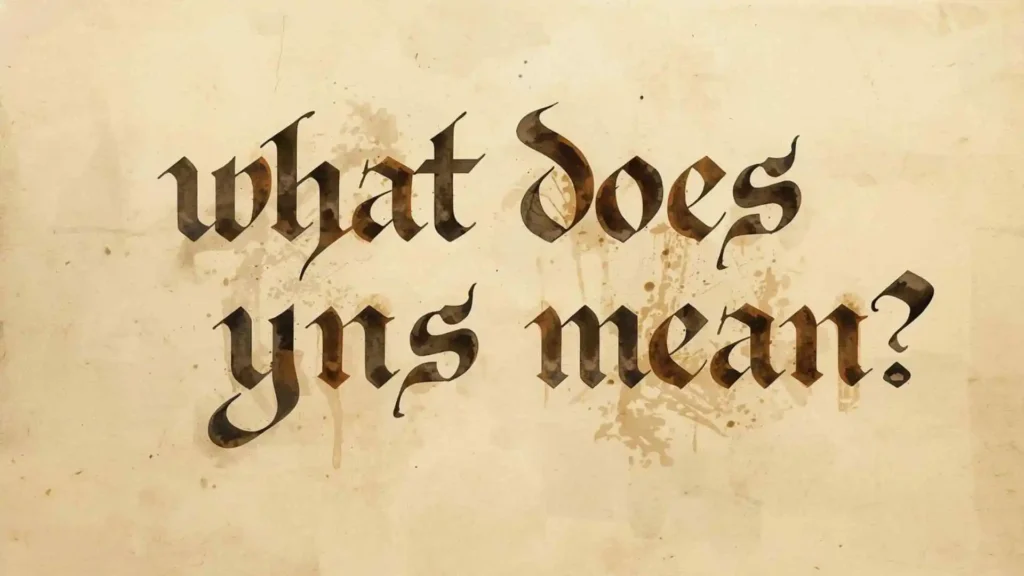 what does yns mean