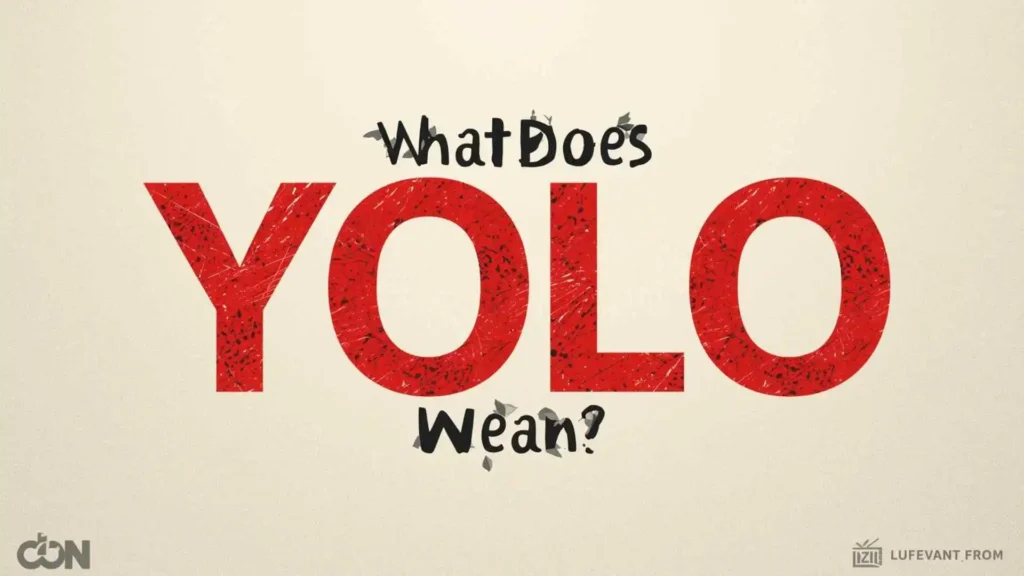 what does yolo mean