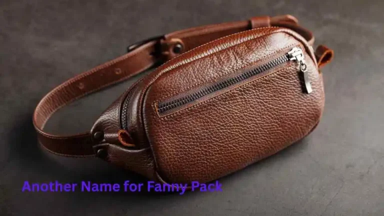 Another Name for Fanny Pack