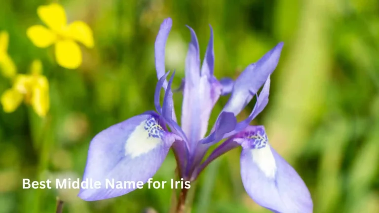 Best Middle Name for Iris